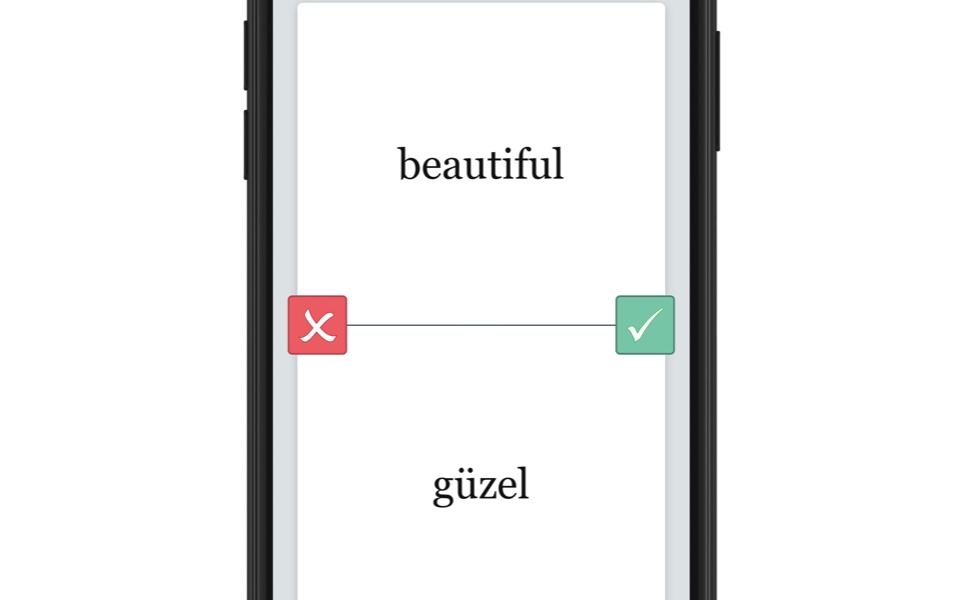 AccelaStudy spaced repetition interface